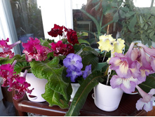 ������� �� ���������������