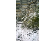 WP 20171023 08 31 41 Pro.jpg