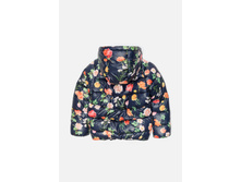 20210130111   Arani        -     (      ).jpg