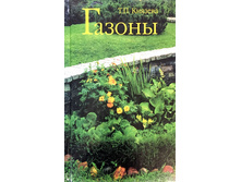 ������ 85�.jpg