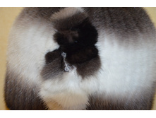 ���� ����� ����� ����� (�����)..JPG