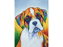 Org ������ 27 �� 38 Ag 266.jpg