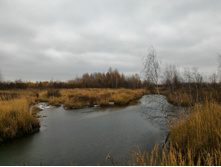 P 20171028 113030.jpg