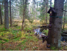 P 20171021 104300.jpg