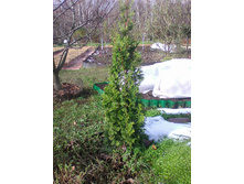 ��� Degroots Spire