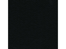 Holst Black.jpg