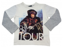 ���� ����