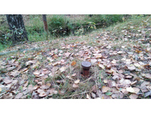 IMG 20171001 135230.jpg