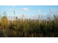 IMG 20171007 162253.jpg