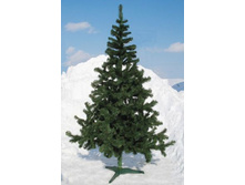 ���\�������: 151-706 ���� ����� 180 �� /�����/ 3 080,00 ���. �����: �����