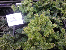 ����� �������������� ����