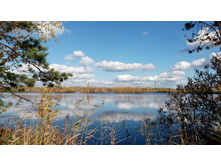 2017-10-08 13-38-36.JPG