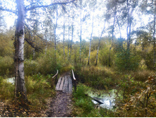 P 20170930 104138 HDR.jpg