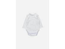 22154140023   Lacerta        (      ).jpg