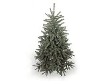 ���\�������: 151-771 ���� �������� 180�� /�����/ 2 310,00 ���. �����: �����   ���\�������: 550-549 ���� � ����������� 20�� 141-457H CD 107,98 ���. �����: ��������� ������� ��   ���\�������: 550-550 ���� � ����������� 20�� 141-458H CD 122,45 ���. �����: ��