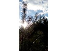 IMG 20171001 155503.jpg