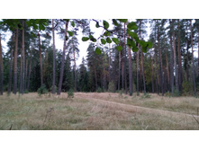 IMG 20171001 110618.jpg