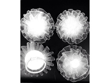 ������� ���� 7 60 ���