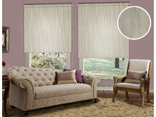 �����, �����	�������