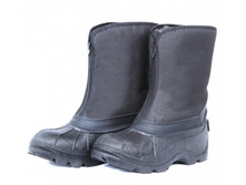 500x500.IMG 3107.JPG