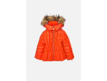 20220130110   Apus   �������(���).jpg