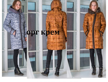 ������ "����" - 1650 ���