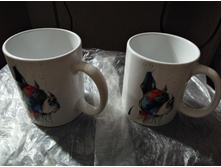 IMG 20171015 115736.jpg