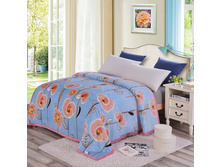 29,0 - 120�200��(��� 0,9��), 36,0 - 150�200��(��� 1,14��), 43,0 - 180�200(��� 1,37��), 53,0 - 200�230��(��� 1,75��), 65,0 - 230�250��(��� 2,2��)