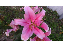 P 20170924 181720.jpg