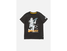 20110110076   Weipa   ������(���).jpg