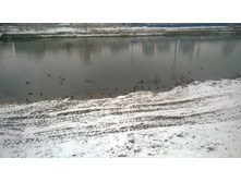 WP 20171023 09 21 40 Pro.jpg