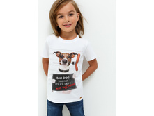 20120110081   Portofino   �����(������).jpg