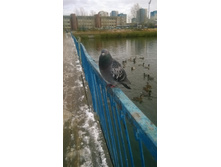 WP 20171024 09 19 54 Pro.jpg