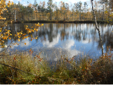 DSCN4482.JPG