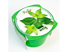 ���� 80 ���