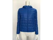 � ����.����