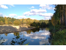 IMG 20171008 145313.jpg