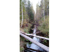 IMG 20171001 134421.jpg