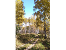 IMG 20171008 113210.jpg