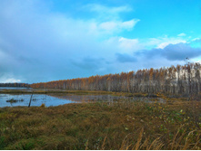 P 20171021 143001 HDR.jpg