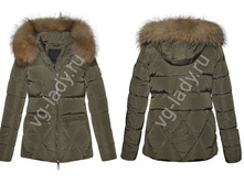 ������ 1520..jpg