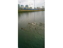 WP 20171024 09 19 43 Pro.jpg