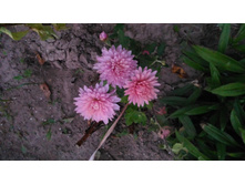 P 20170924 181814.jpg