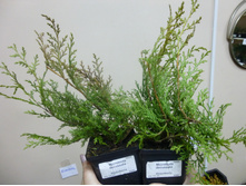 ����������