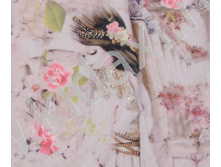 ������ ������.jpg