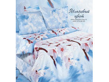 ��������� ����.jpg