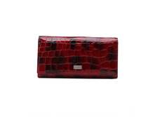 ������� Tosoco ����������� ���� B15-W06.jpg