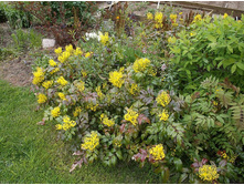 ������� �������������