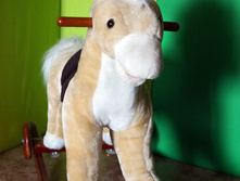 DSC08662.JPG