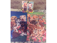 20171018 150610-1.jpg